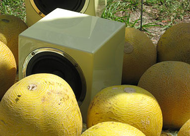 Melon Speaker Cubes13smallcrop